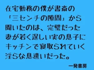「在宅勤務の僕が書斎の「三センチの隙間」から聞いたのは、完璧だった妻が若く逞しい実の息子にキッチンで寝取られていく淫らな息遣いだった。」知ってる？